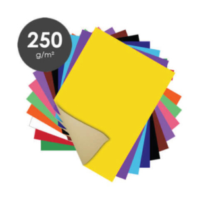 Papel Cartão 48 x 66 VMP
