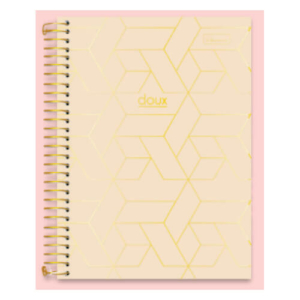 Caderno Colegial Capa Dura 80 Folhas Doux